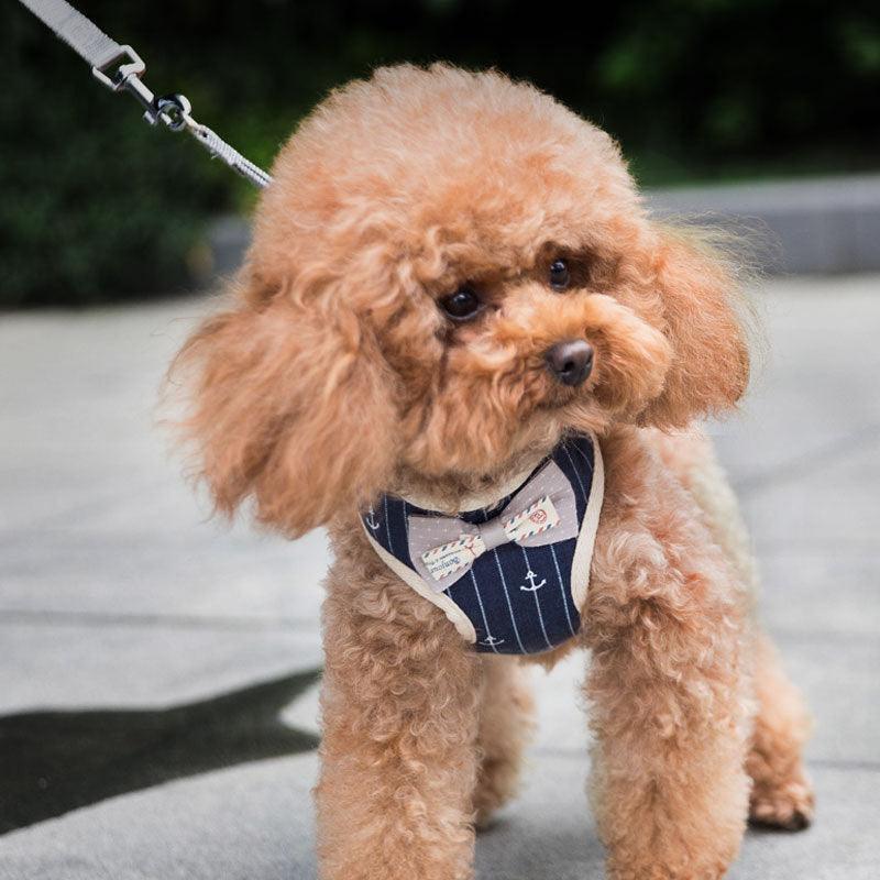 Breathable Mesh Pet Leash For Dogs And Cats
