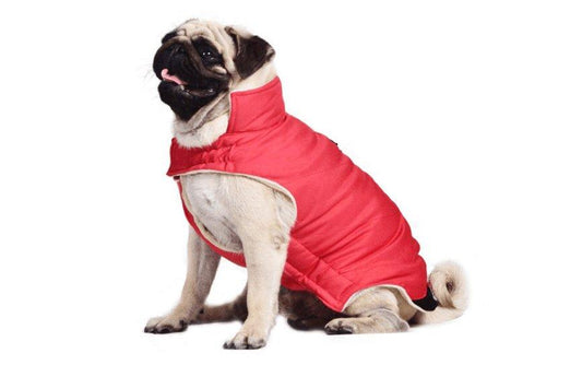Cozy Cotton Dog Coat Vest - Stylish European And American Style For All Genders