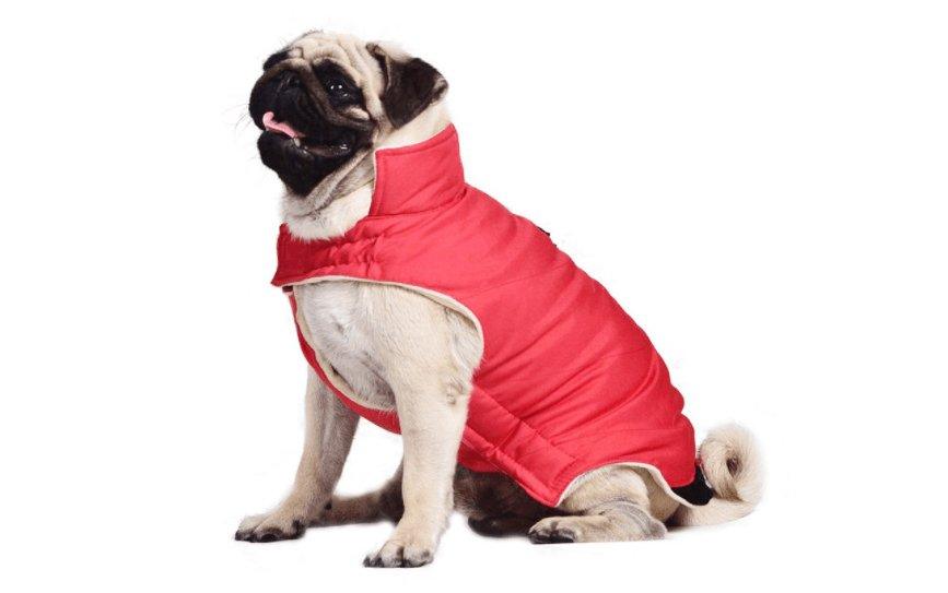 Cozy Cotton Dog Coat Vest - Stylish European And American Style For All Genders